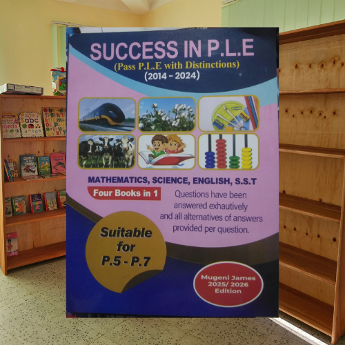 Primary Leaving Exam Preparation - General