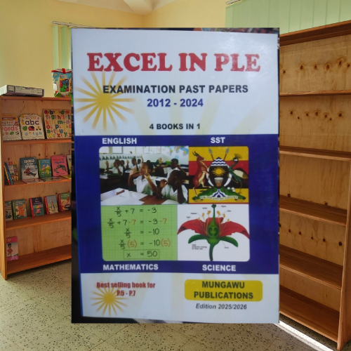 Primary Leaving Exam Preparation - General - Image 3