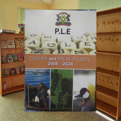 Primary Leaving Exam Preparation - Humanities - Image 6